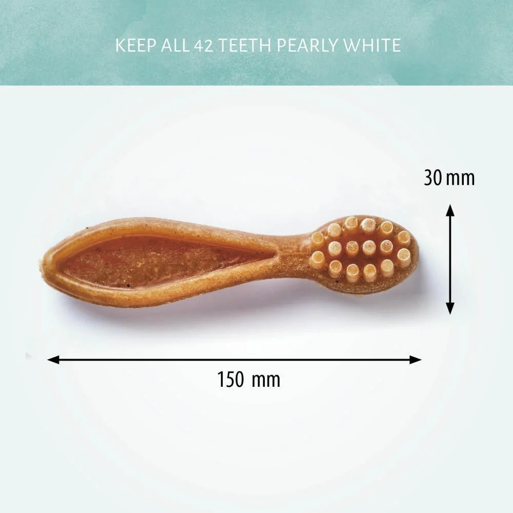 Antos Cerea Toothbrush Large 15cm each - Image 2