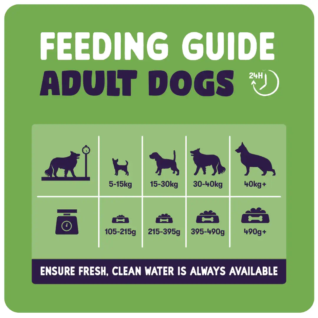 Burgess Dog - Sensitive Adult Lamb & Rice 2kg - Image 2