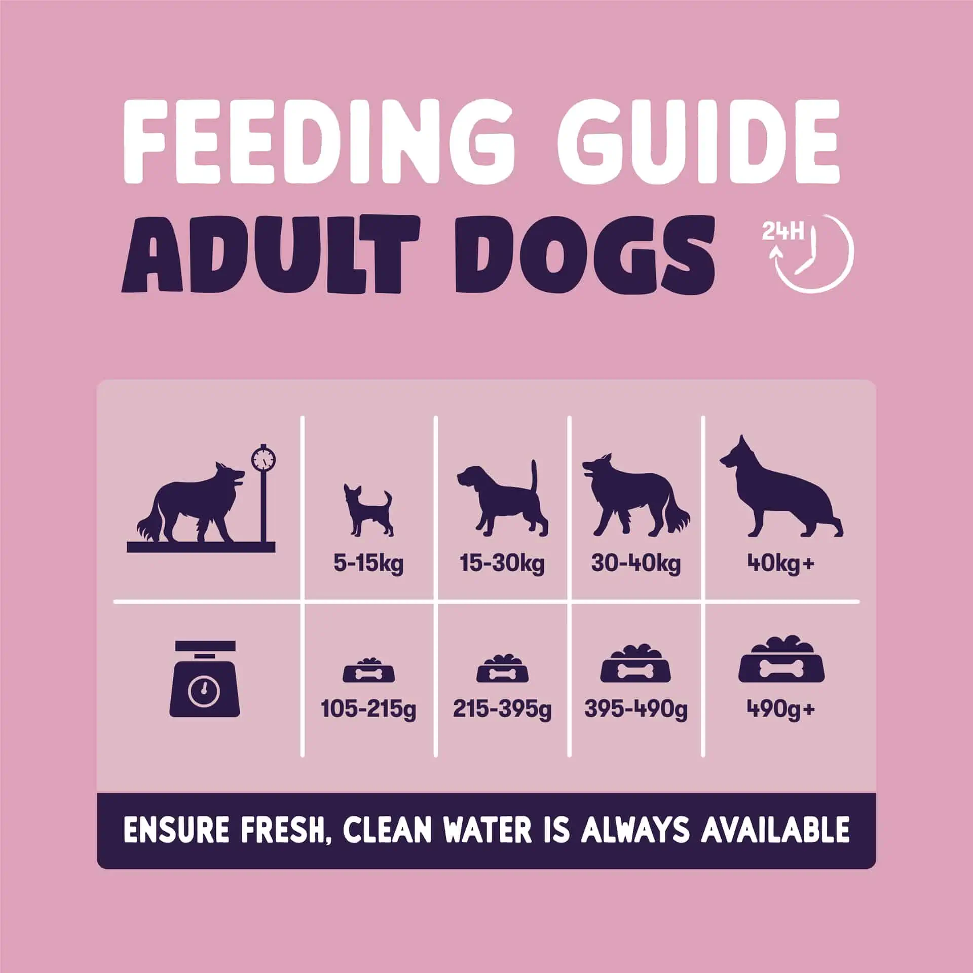 Burgess Dog - Sensitive Adult Salmon & Rice 2kg - Image 2