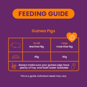 Burgess Guinea Pig - Excel Nuggets With Blackcurrant & Oregano 1.5kg - Image 2