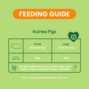 Burgess Guinea Pig - Excel Nuggets With Mint 1.5kg - Image 2