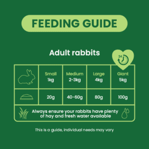 Burgess Rabbit - Excel Adult Nuggets With Mint 1.5kg - Image 2