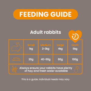 Burgess Rabbit - Excel Indoor Adult Nuggets Dandelion & Nettle 10kg - Image 2