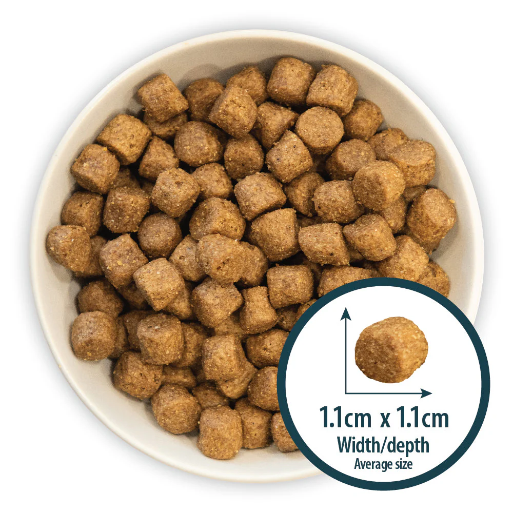 Burns Dog - Adult Active Chicken & Rice 12kg - Image 2