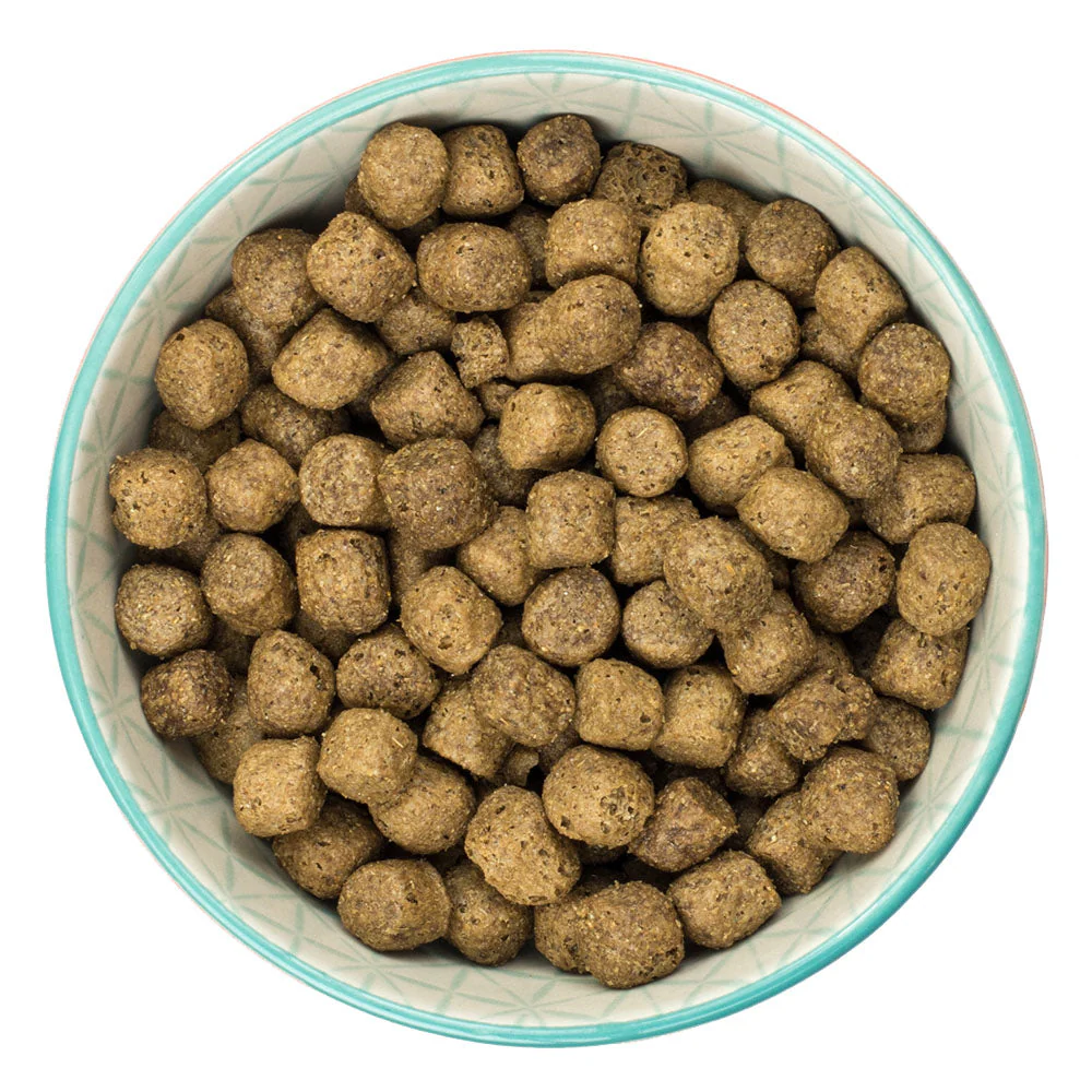 Burns Dog - Adult & Senior Original Chicken & Brown Rice 12kg - Image 2