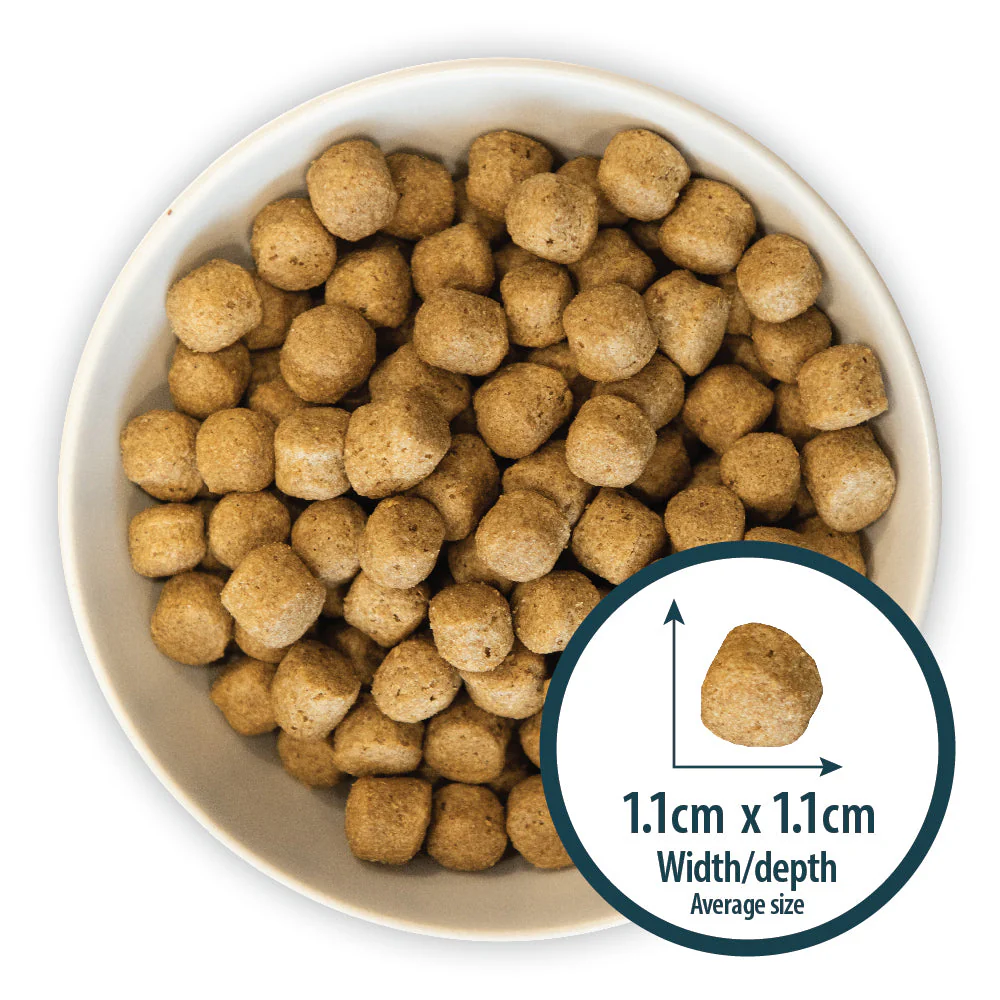 Burns Dog - Adult & Senior Original Fish & Brown Rice 6kg - Image 2