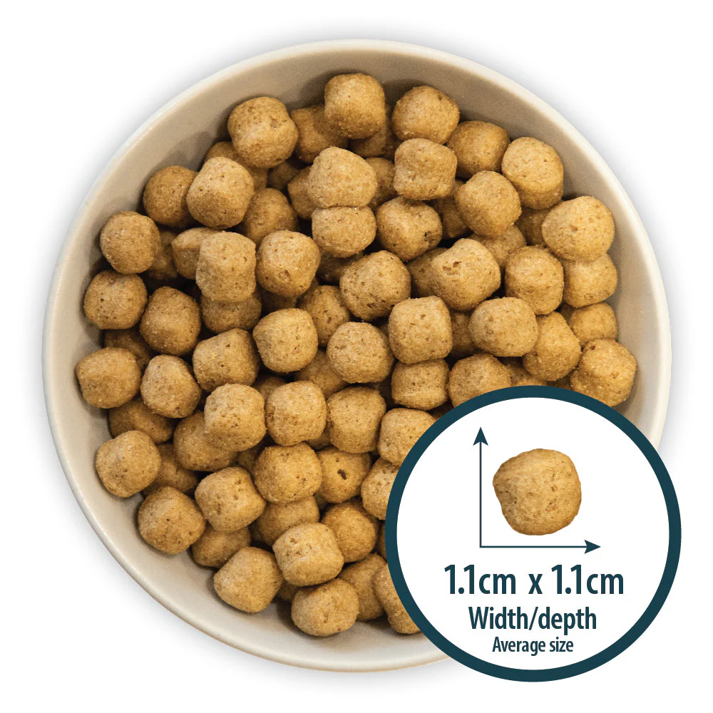 Burns Dog - Adult & Senior Original Lamb &  Brown Rice 2kg - Image 2