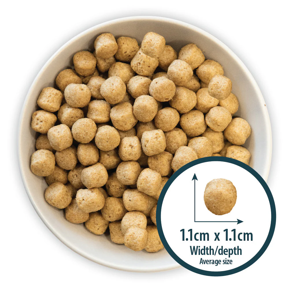 Burns Dog - Adult & Senior Weight Control Chicken & Oats 6kg - Image 2