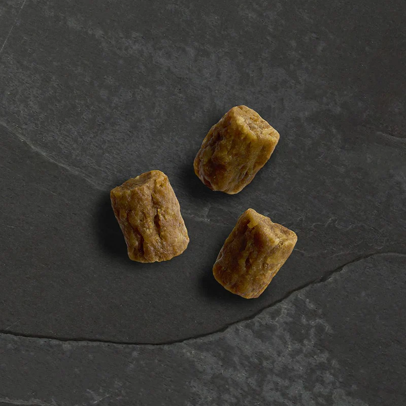 Canagan Dog - Wild Bites Beef & Pork 60g - Image 2