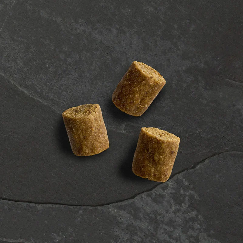 Canagan Dog - Wild Bites Chicken & Pork 60g - Image 2