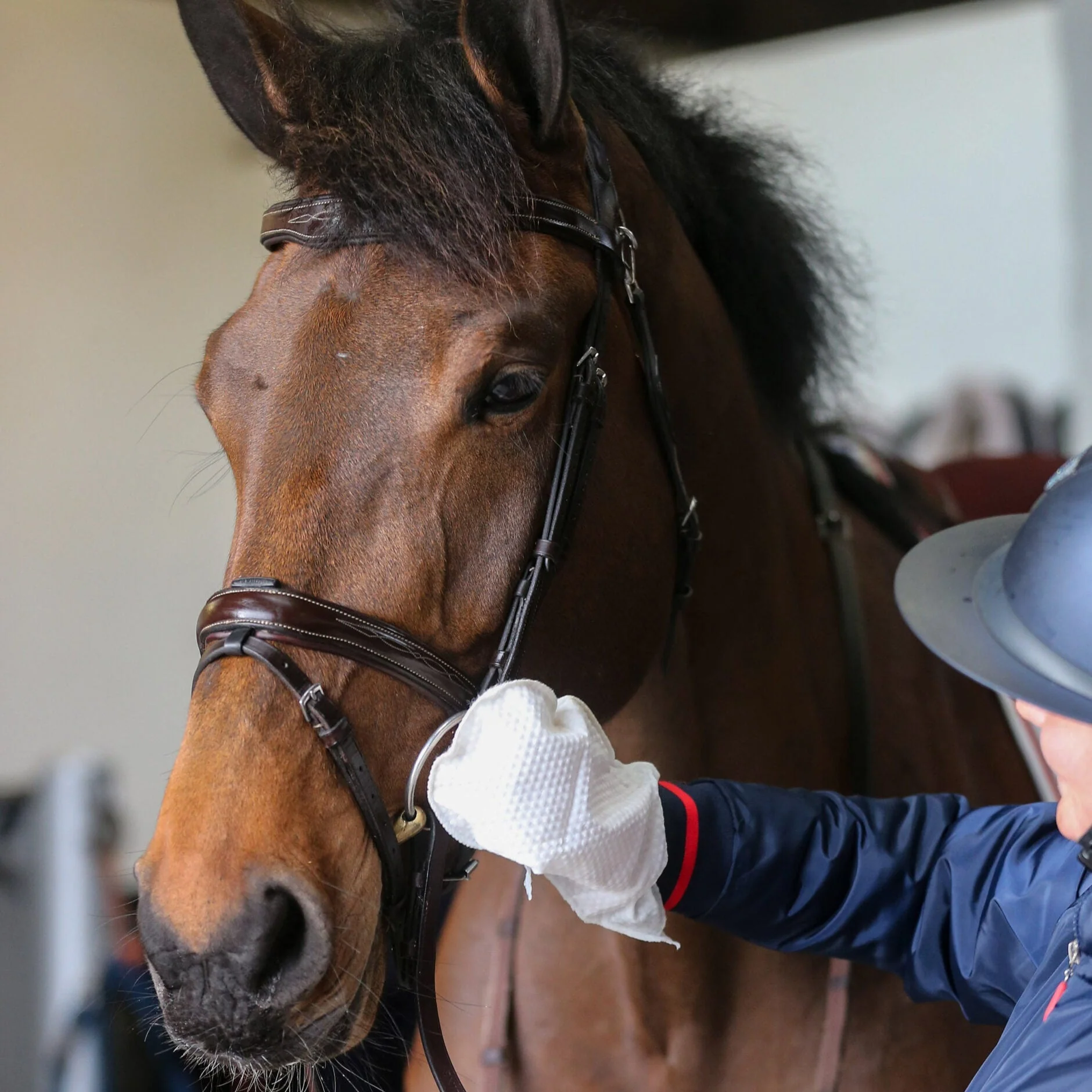 Carr Day Martin Belvoir Tack Cleaner Step 1 Mitt - Image 2