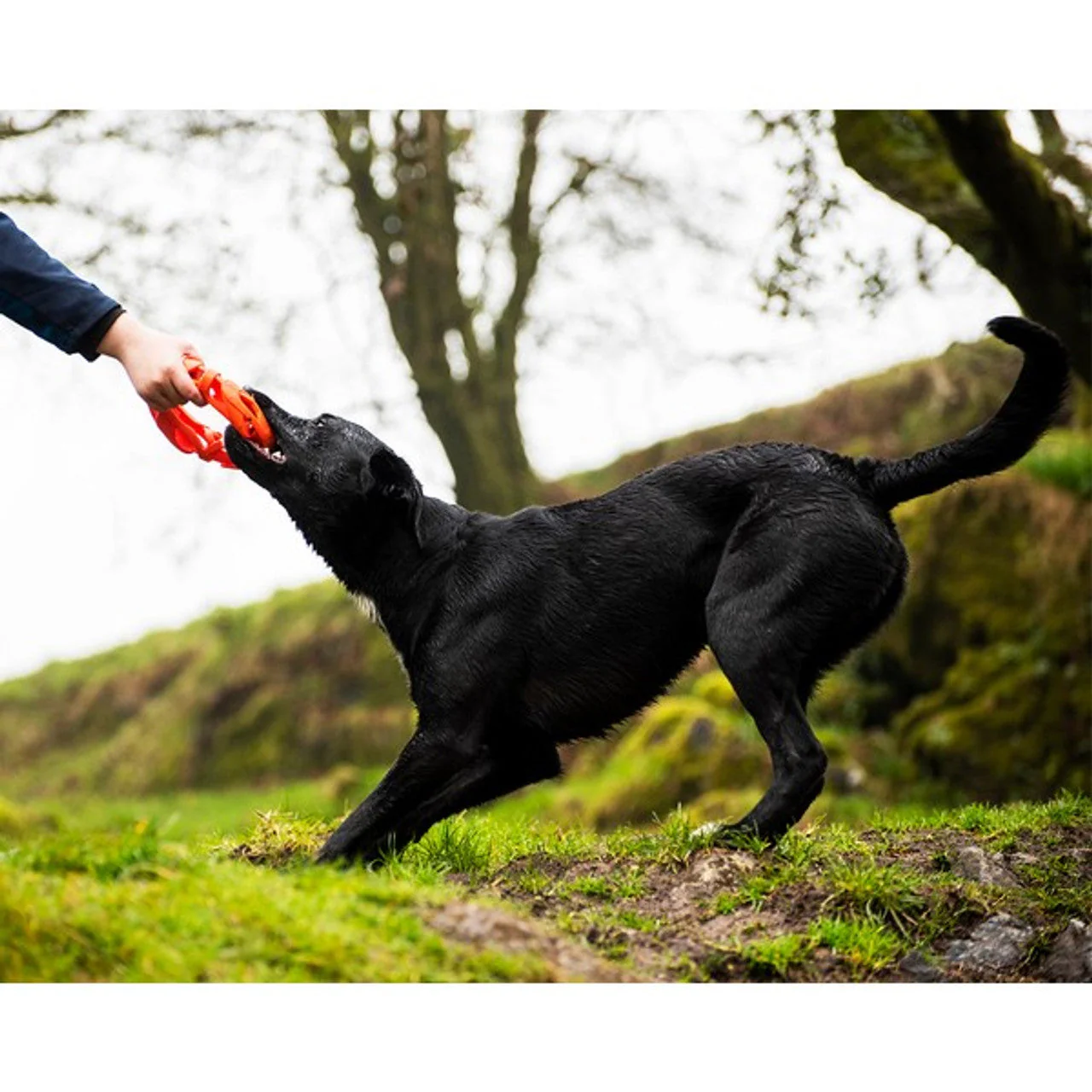 Chuckit Air Fetch Wheel - Image 3