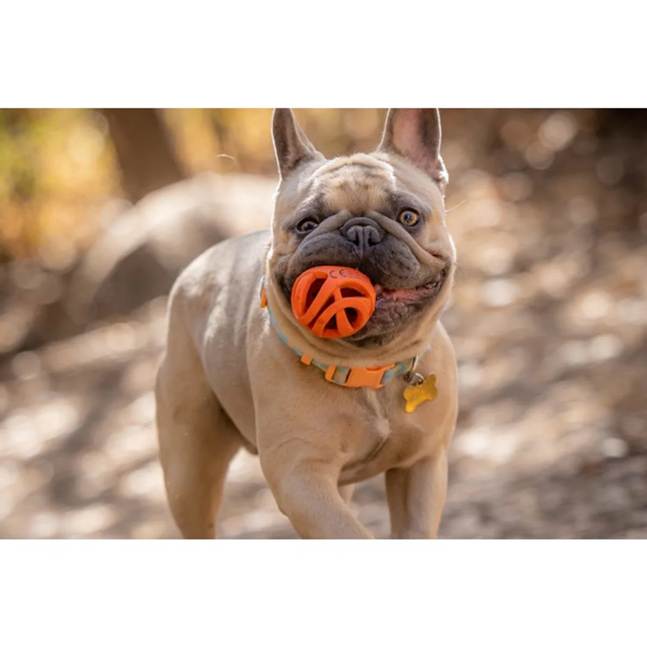 Chuckit Air Fetch Ball Small (2pk) 4.8cm - Image 3