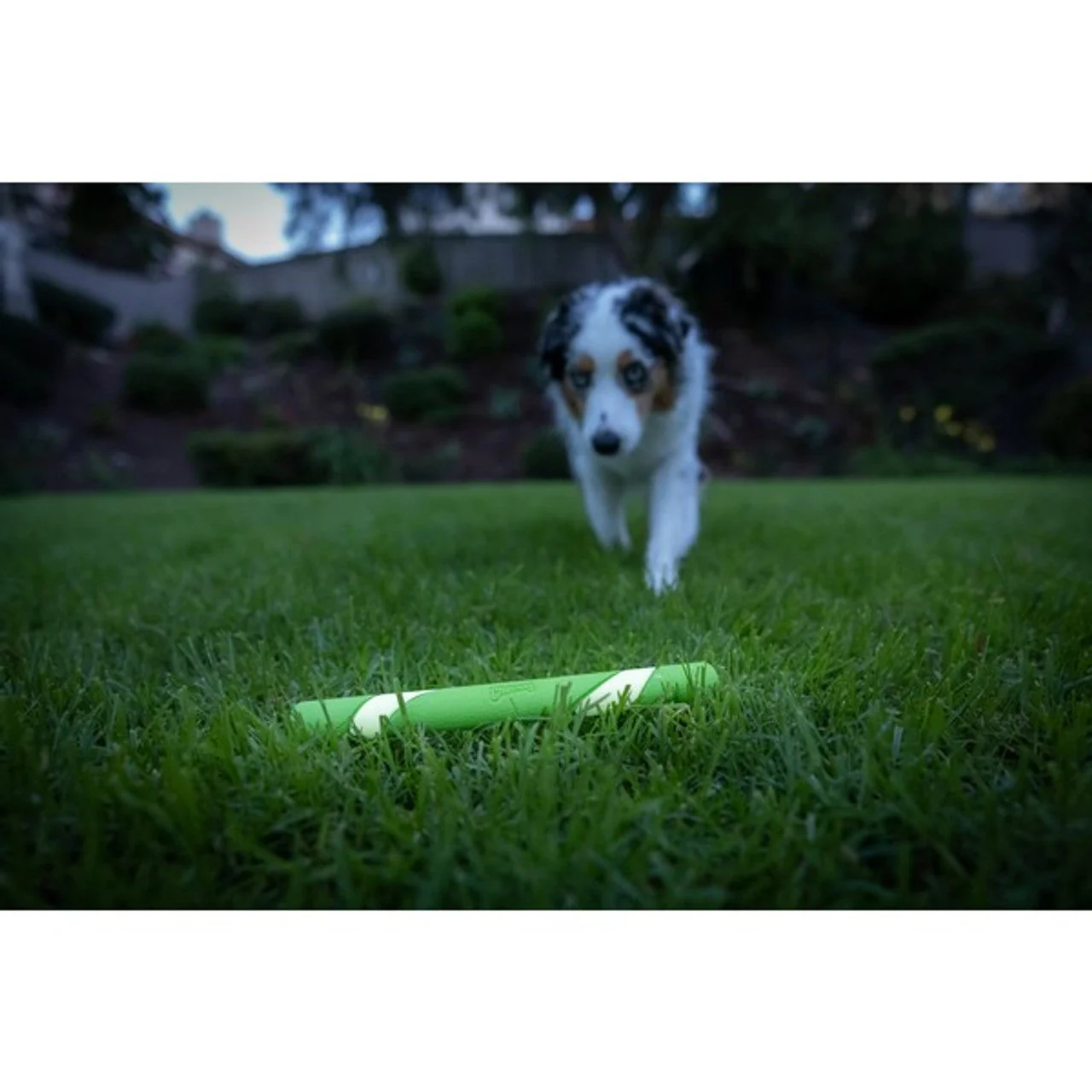 Chuckit Max Glow Ultra Fetch Stick 28cm - Image 3