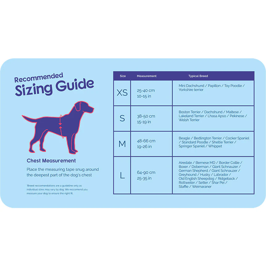 Company Of Animals Halti Walking Harness Small Black - Image 2