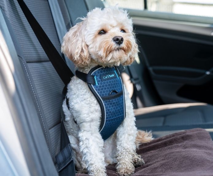 Company Of Animals CarSafe Crash Tested Harness Small - Image 3