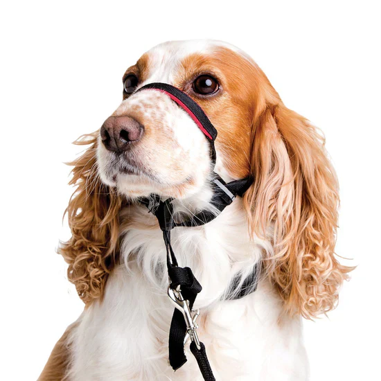 Company of Animals Halti Optifit Head Collar Black Medium - Image 3
