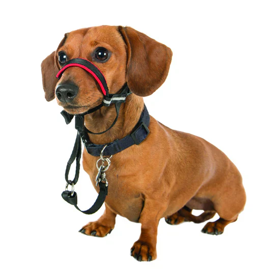 Company of Animals Halti Optifit Head Collar Black Small - Image 2