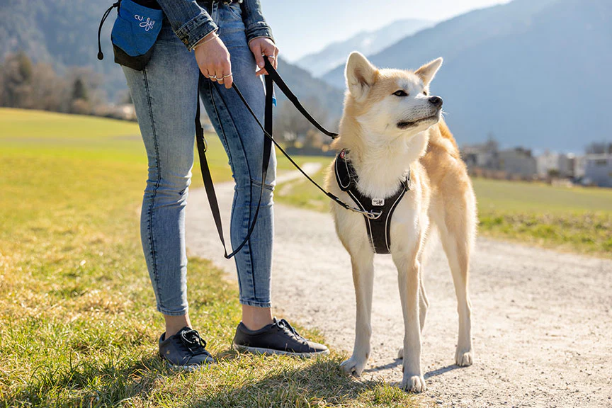 Curli Adjustable Dog Leash Nylon - Image 2