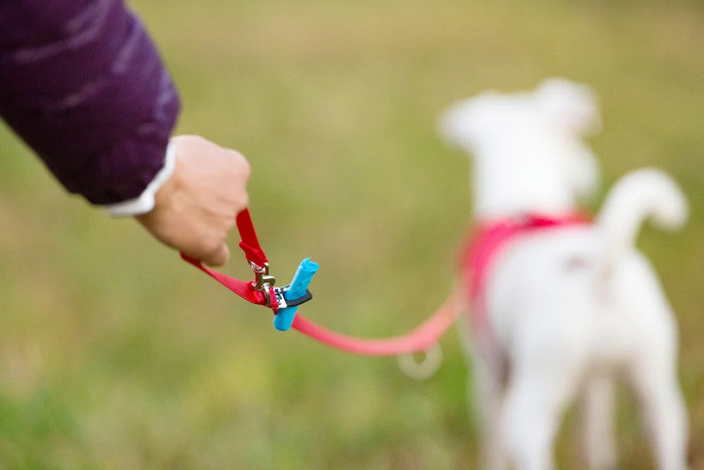 Curli Adjustable Dog Leash Nylon - Image 4