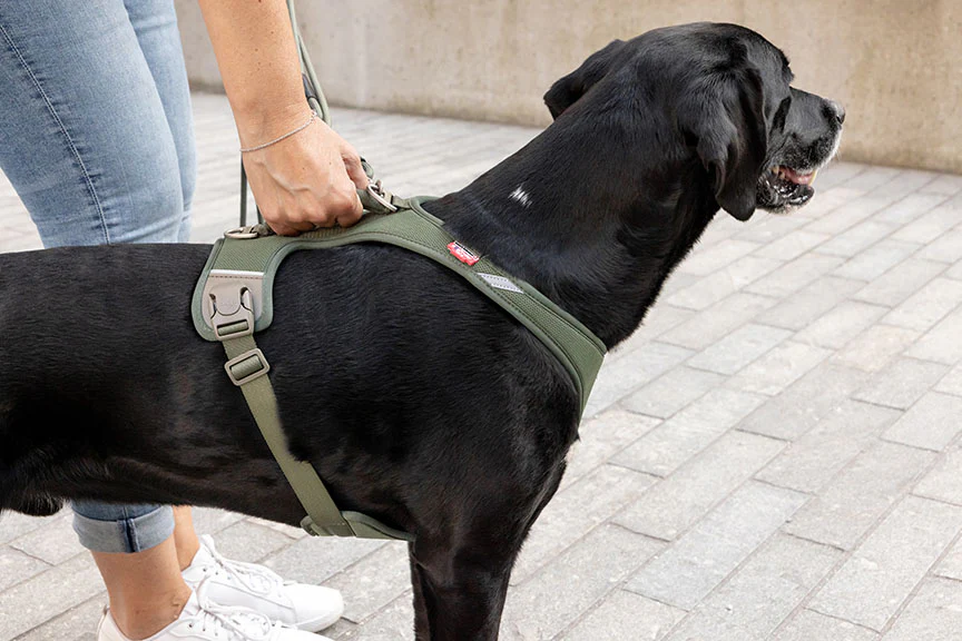 Curli Belka Harness Air-Mesh - Image 5