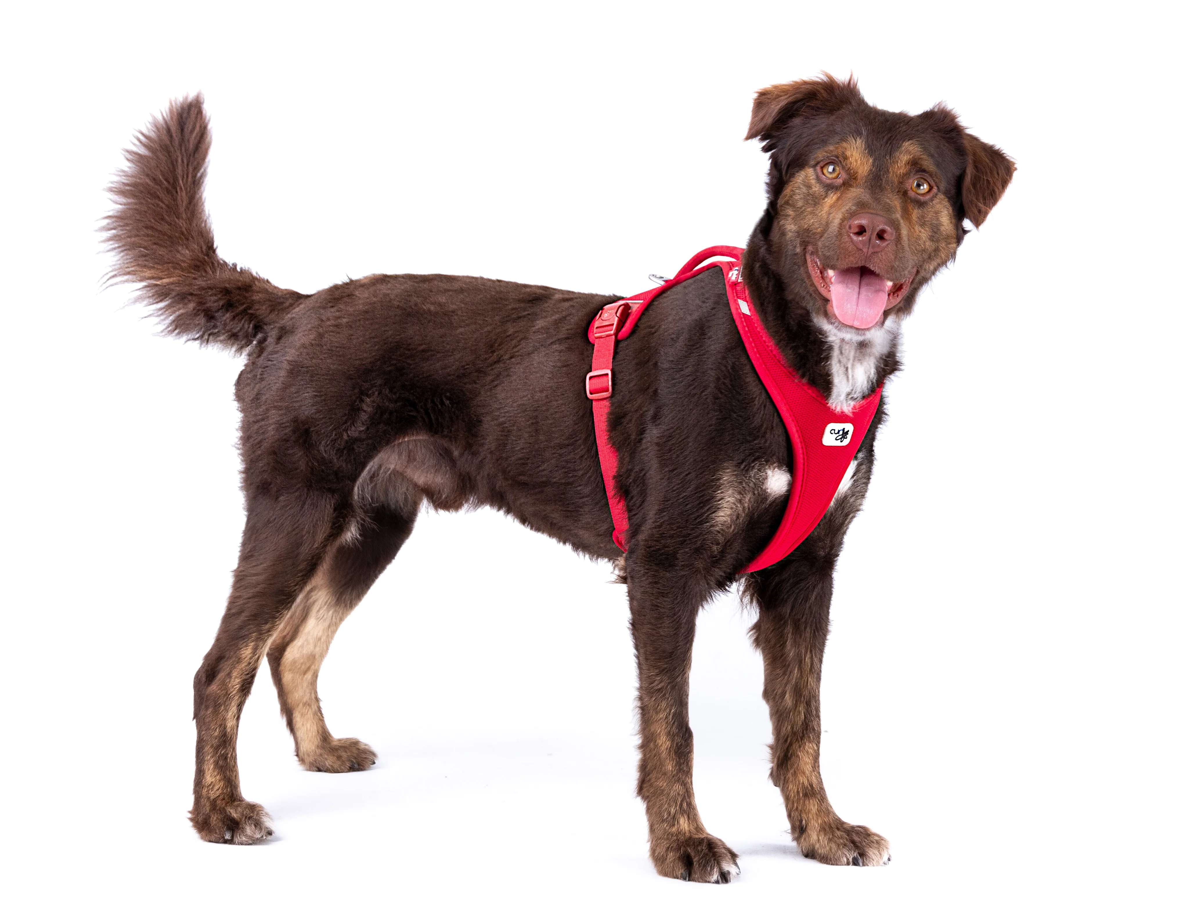 Curli Belka Harness Air-Mesh - Image 7