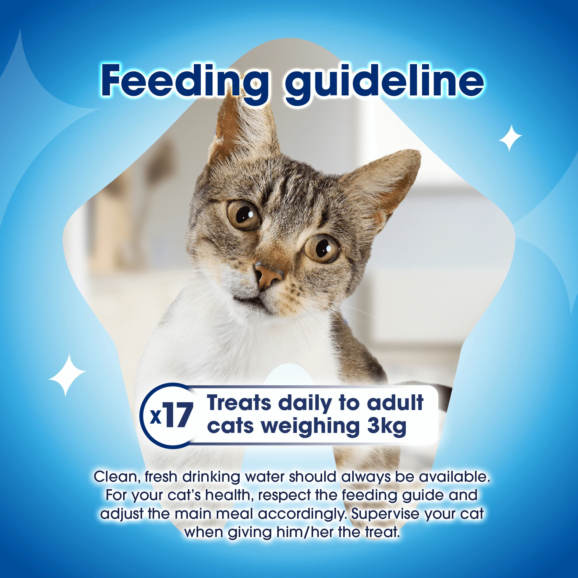 Dentalife Cat Chicken 40g - Image 4