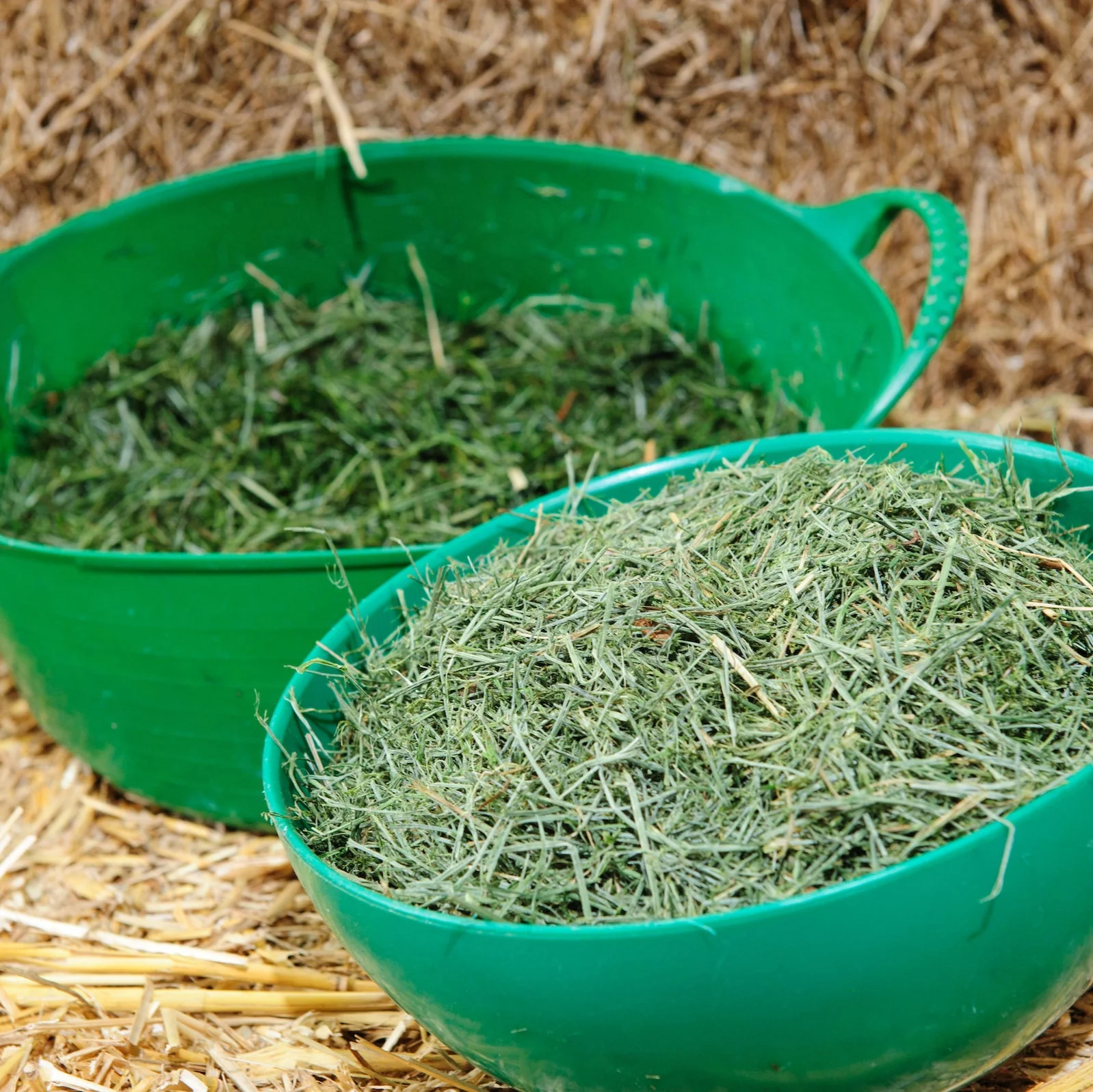 Emerald Green Feeds Grass-Tastic 12.5kg - Image 2