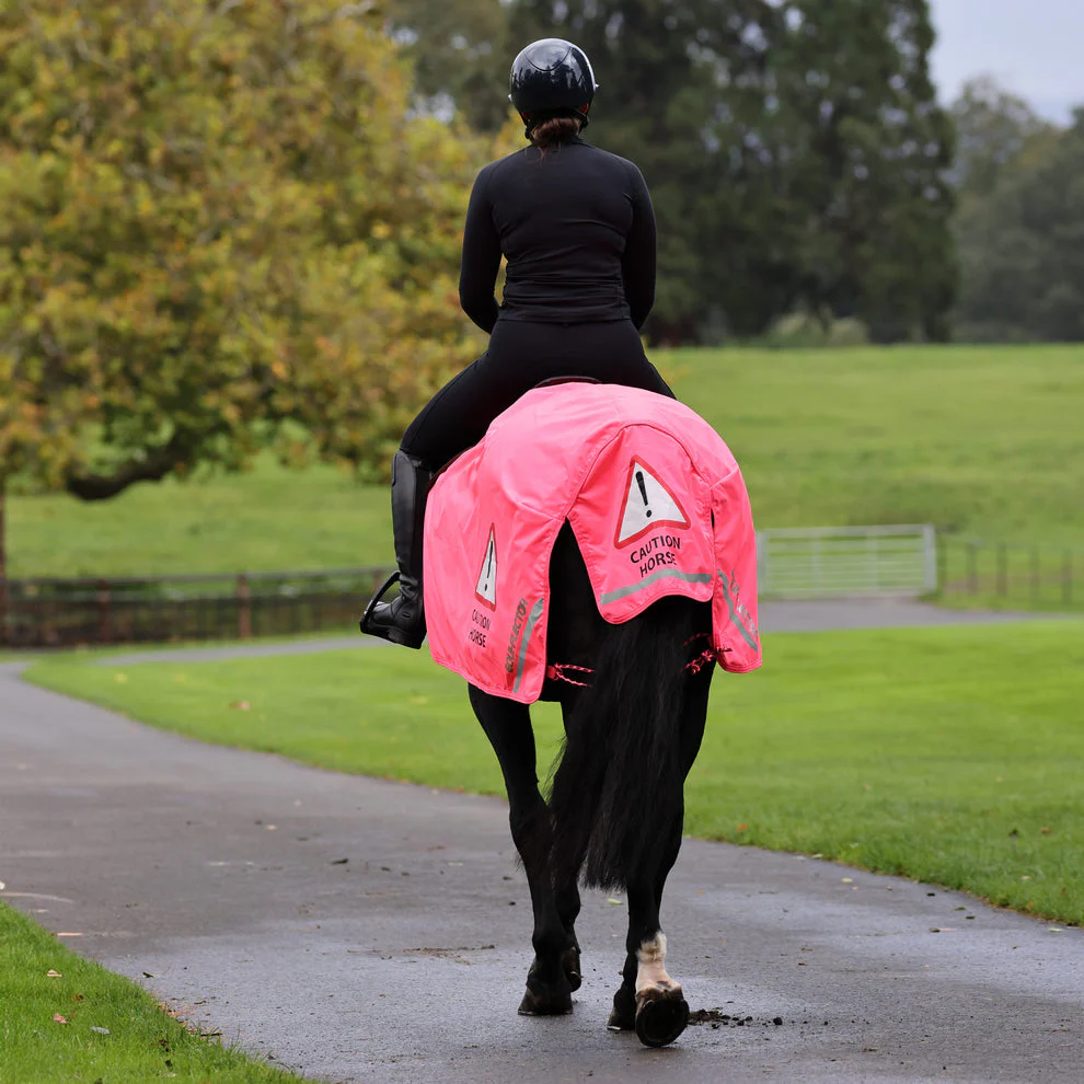 EQUI-FLECTOR Waterproof Exercise Sheet - Image 4