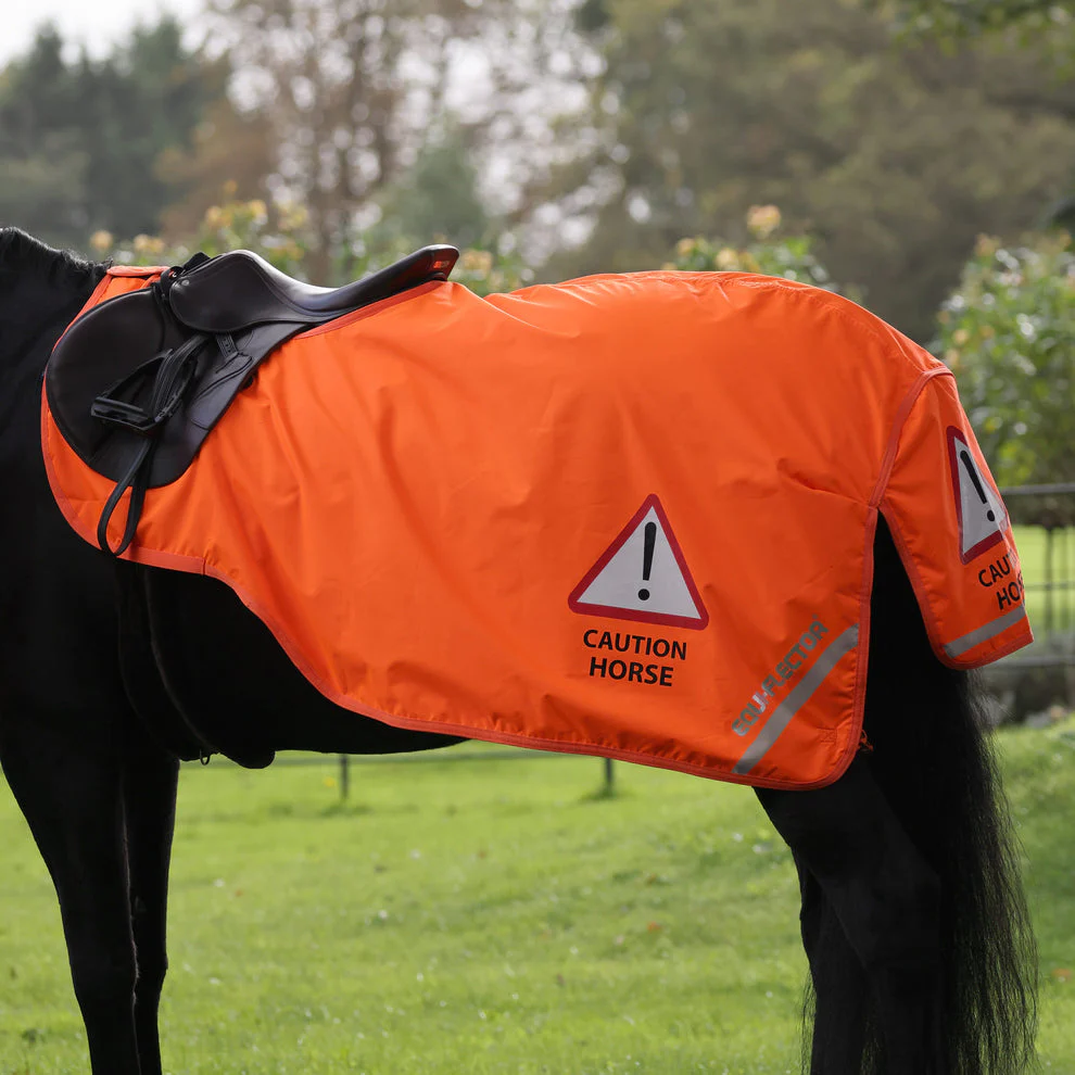 EQUI-FLECTOR Waterproof Exercise Sheet - Image 5