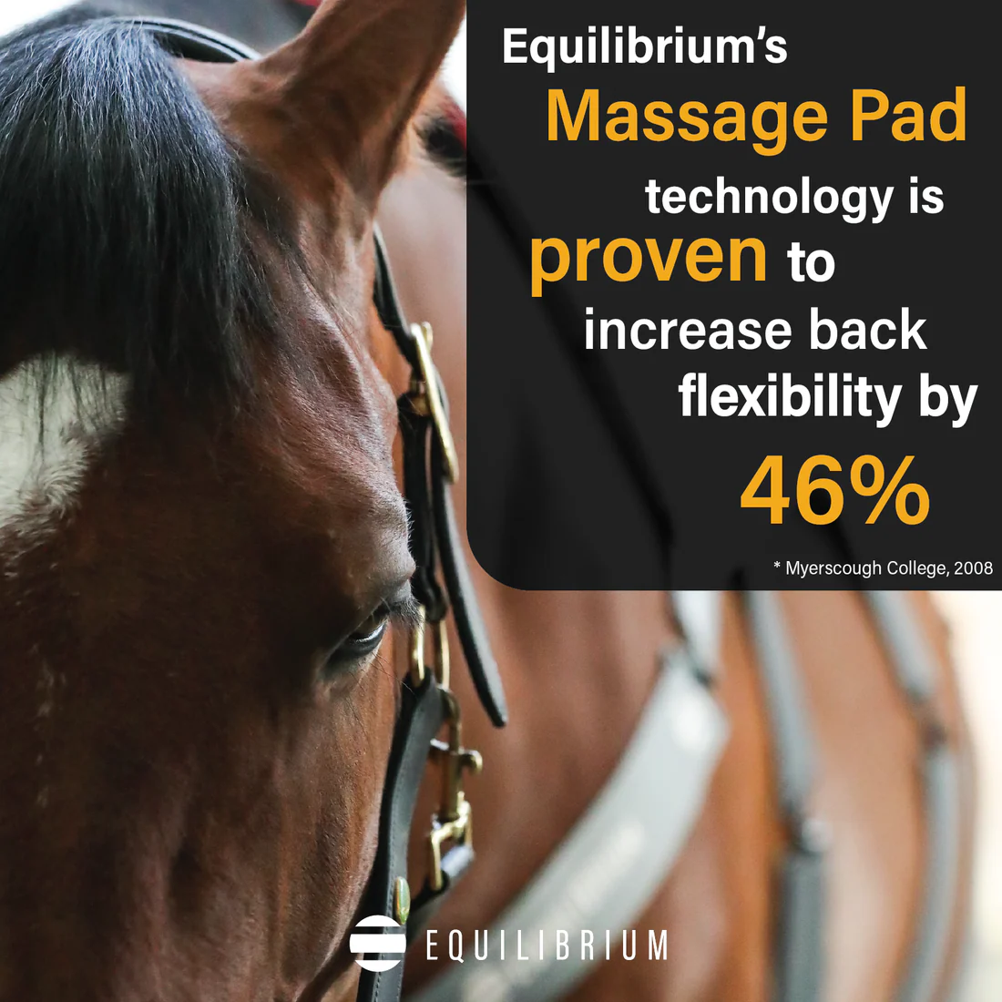 Equilibrium Heatsense Massage Pad Standard - Image 4