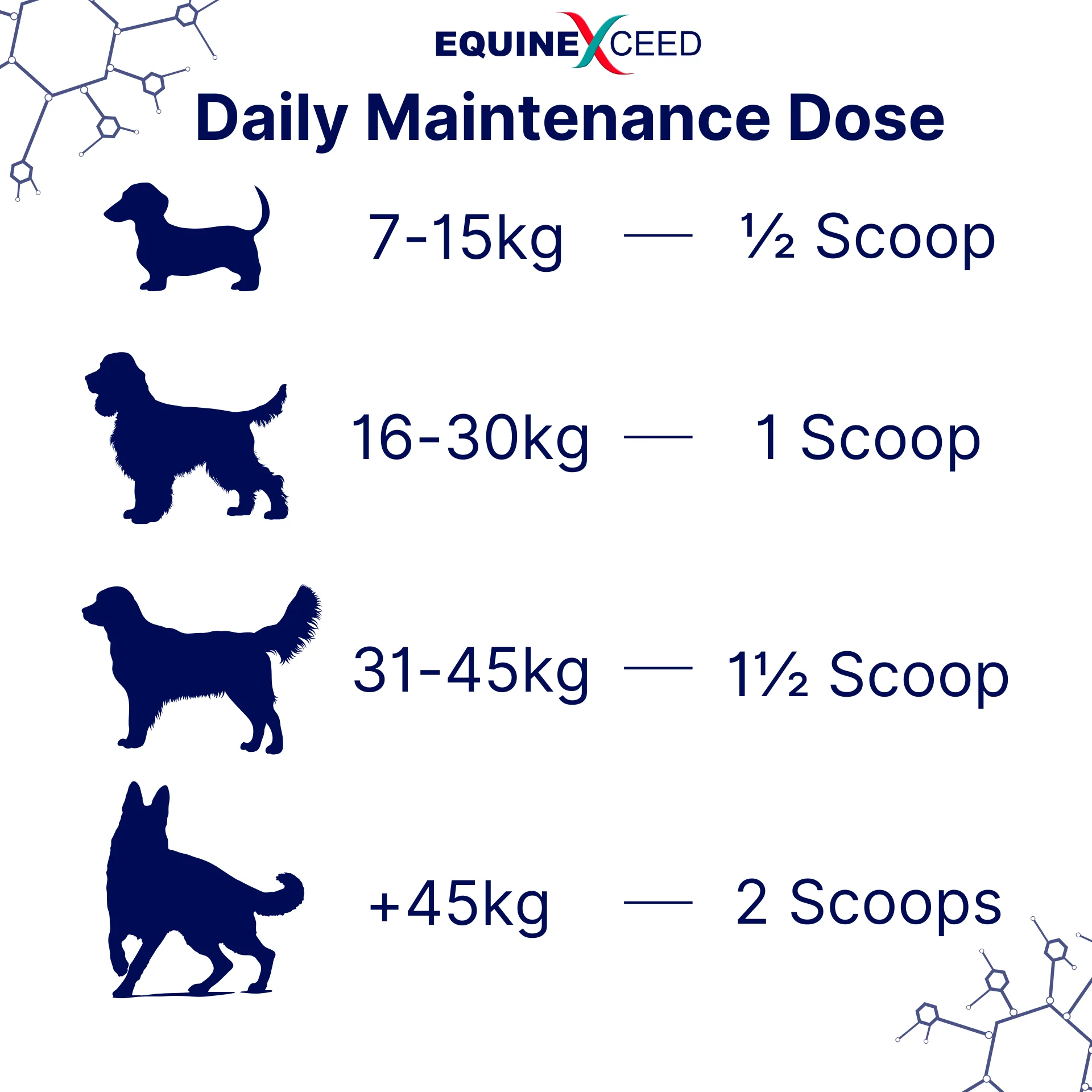 Equine Exceed K9 Joint Health 144g - Image 2