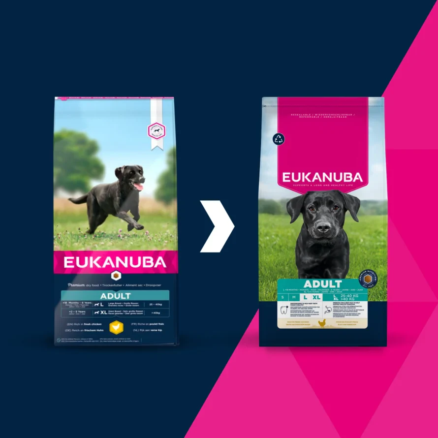Eukanuba Adult Large Breed Chicken 12kg - Image 2
