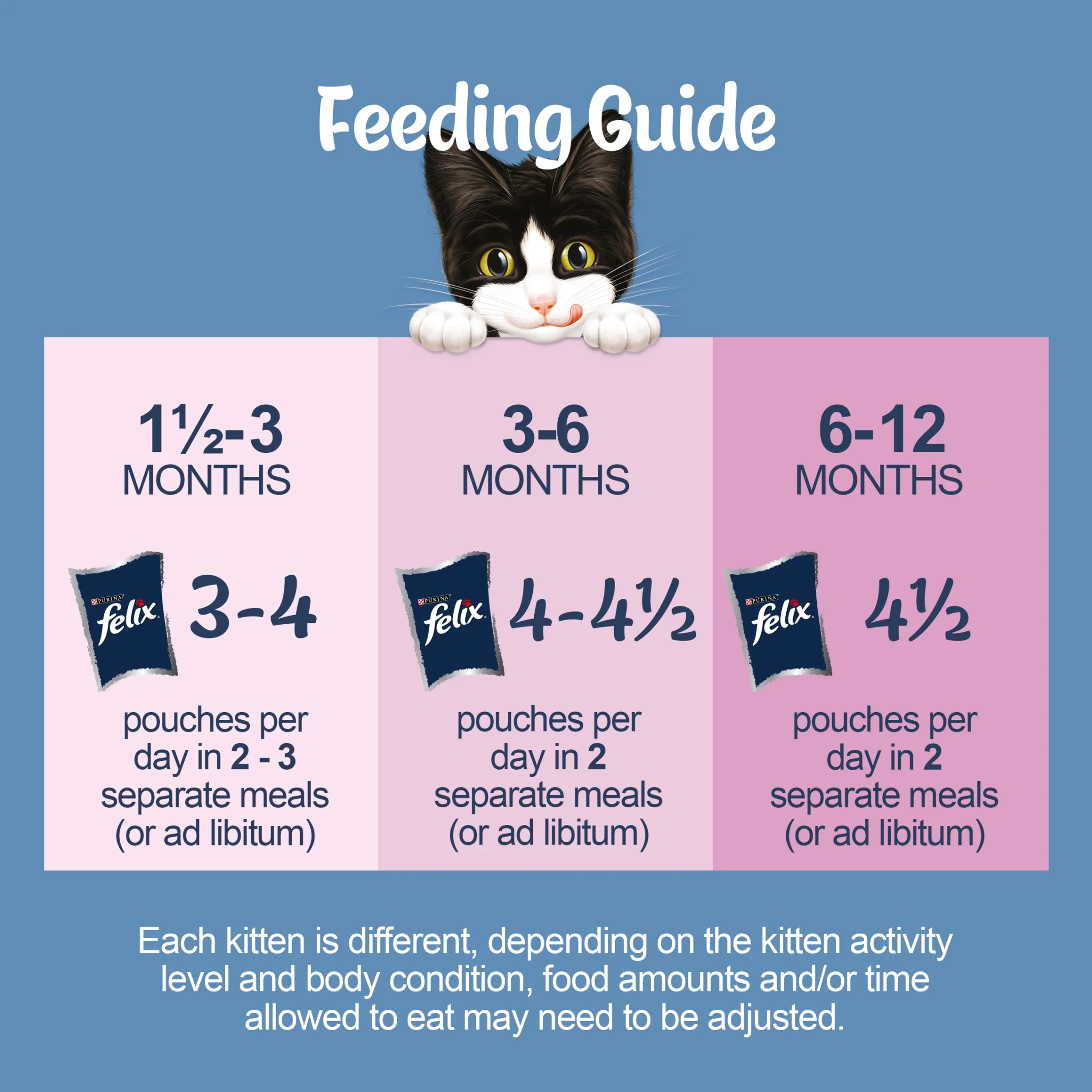 Felix Original Kitten Mixed Selection in Jelly Wet Cat Food 40x85g - Image 2