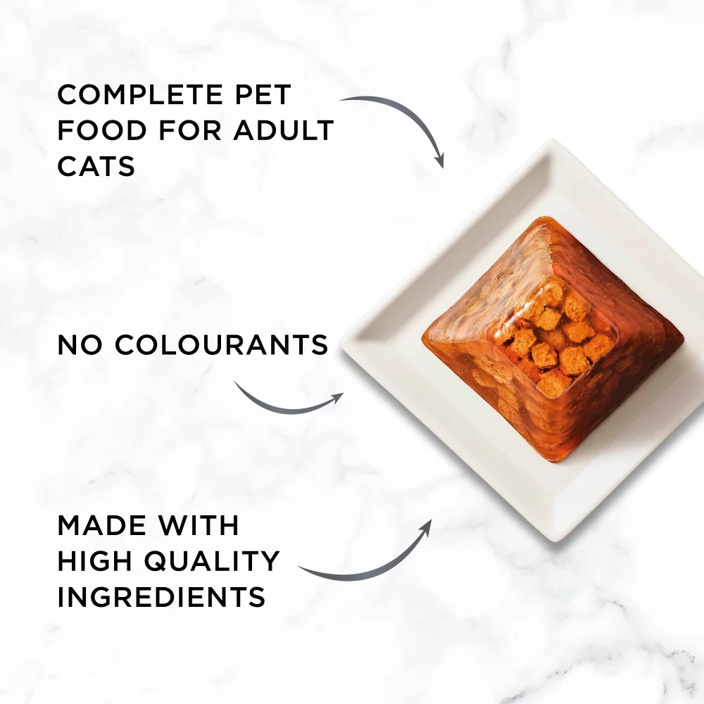 Gourmet Revelations Fine Cuts In Jelly Salmon 4x57g - Image 2