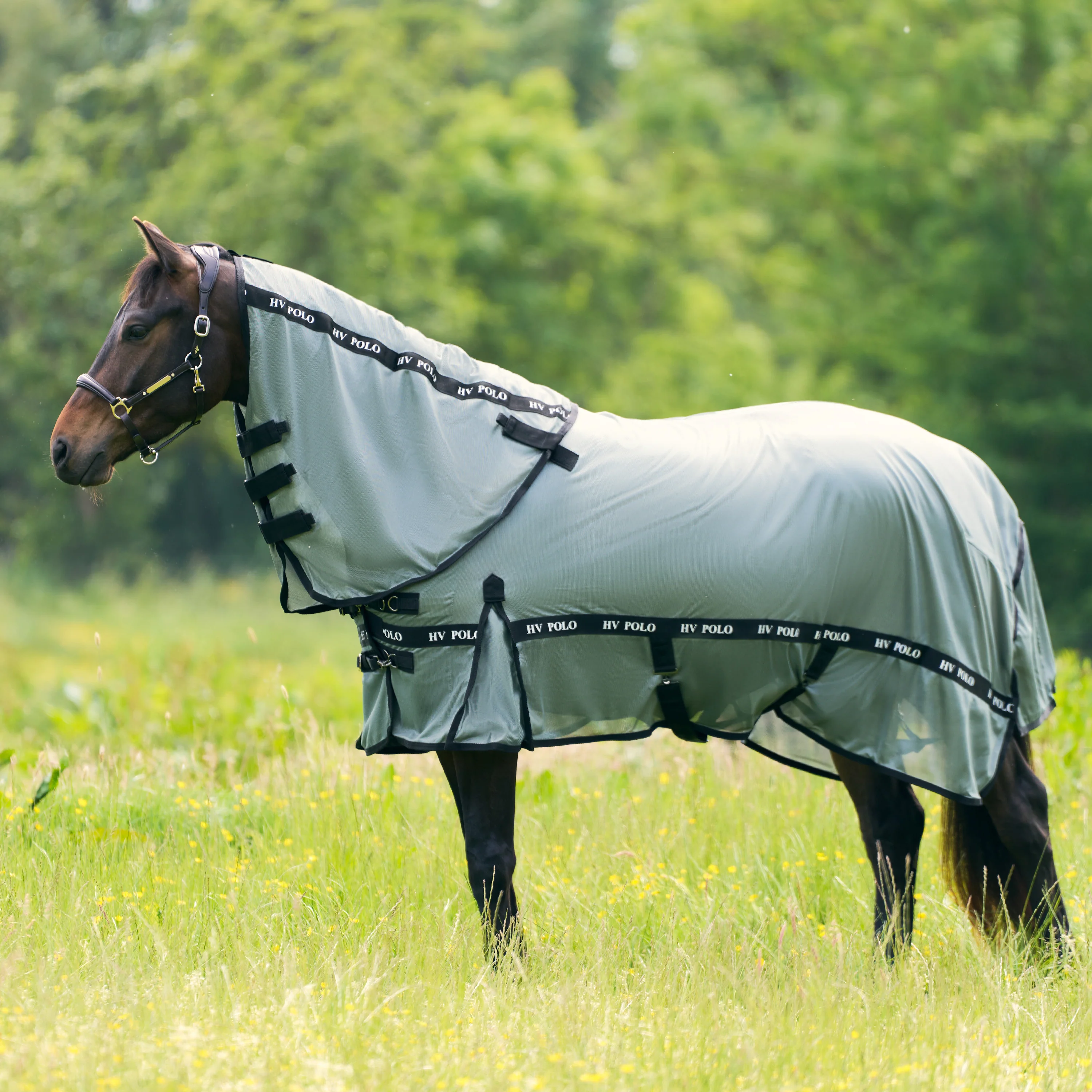 HV Polo Fly Blanket HVPNena Greenery - Image 4