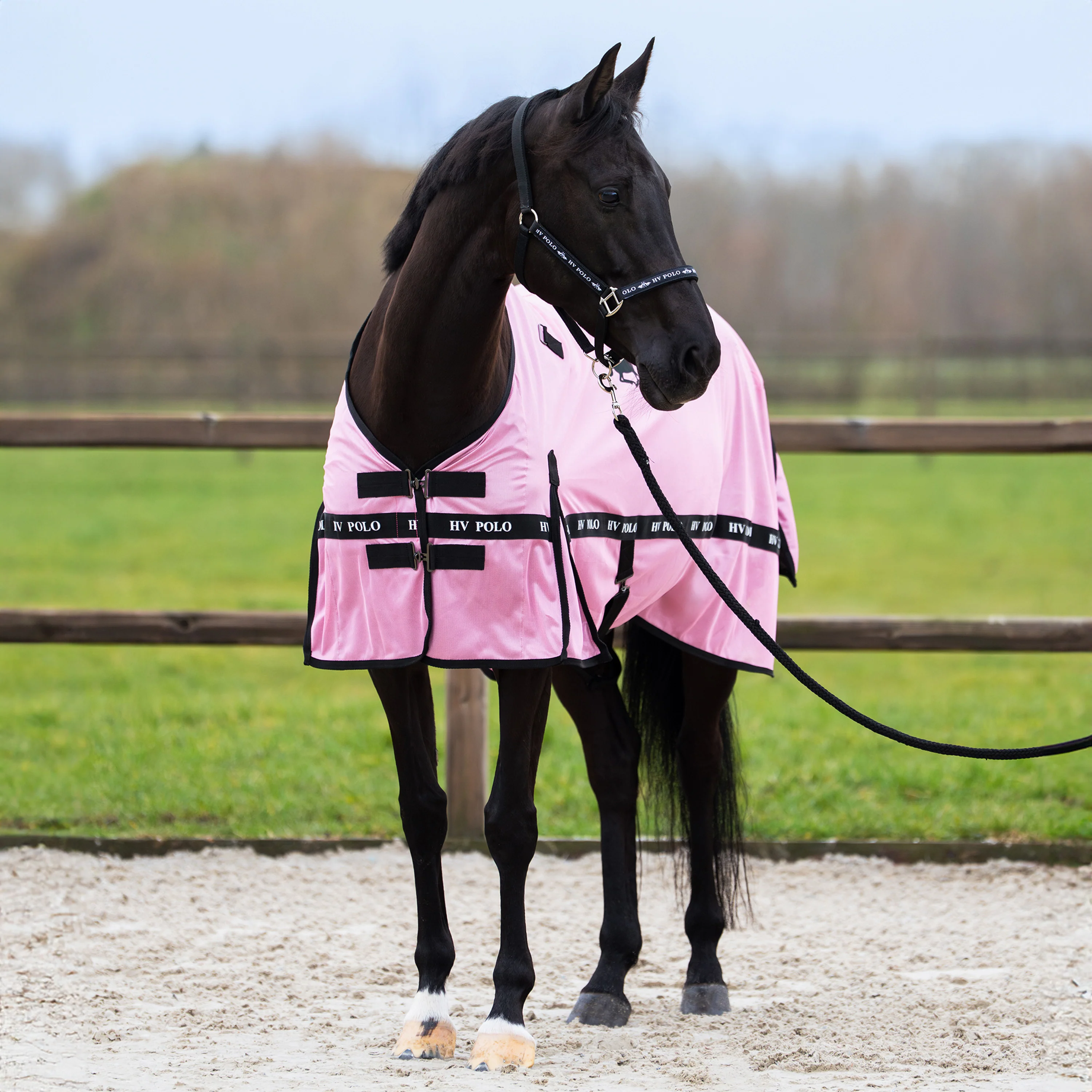 HV Polo Fly Blanket HVPNena Pretty Pink - Image 4