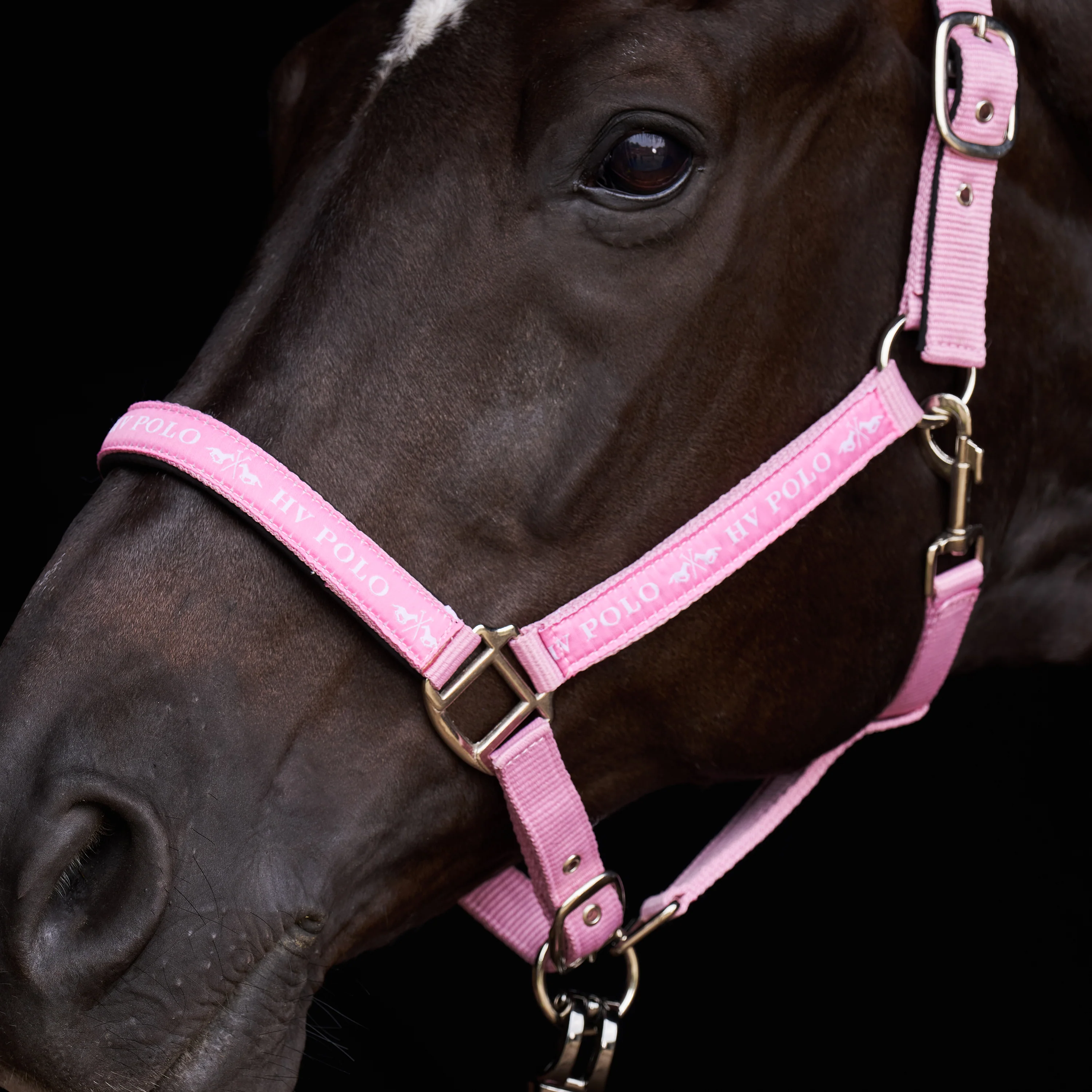 HV Polo Headcollar HVPNena Pretty Pink - Image 2