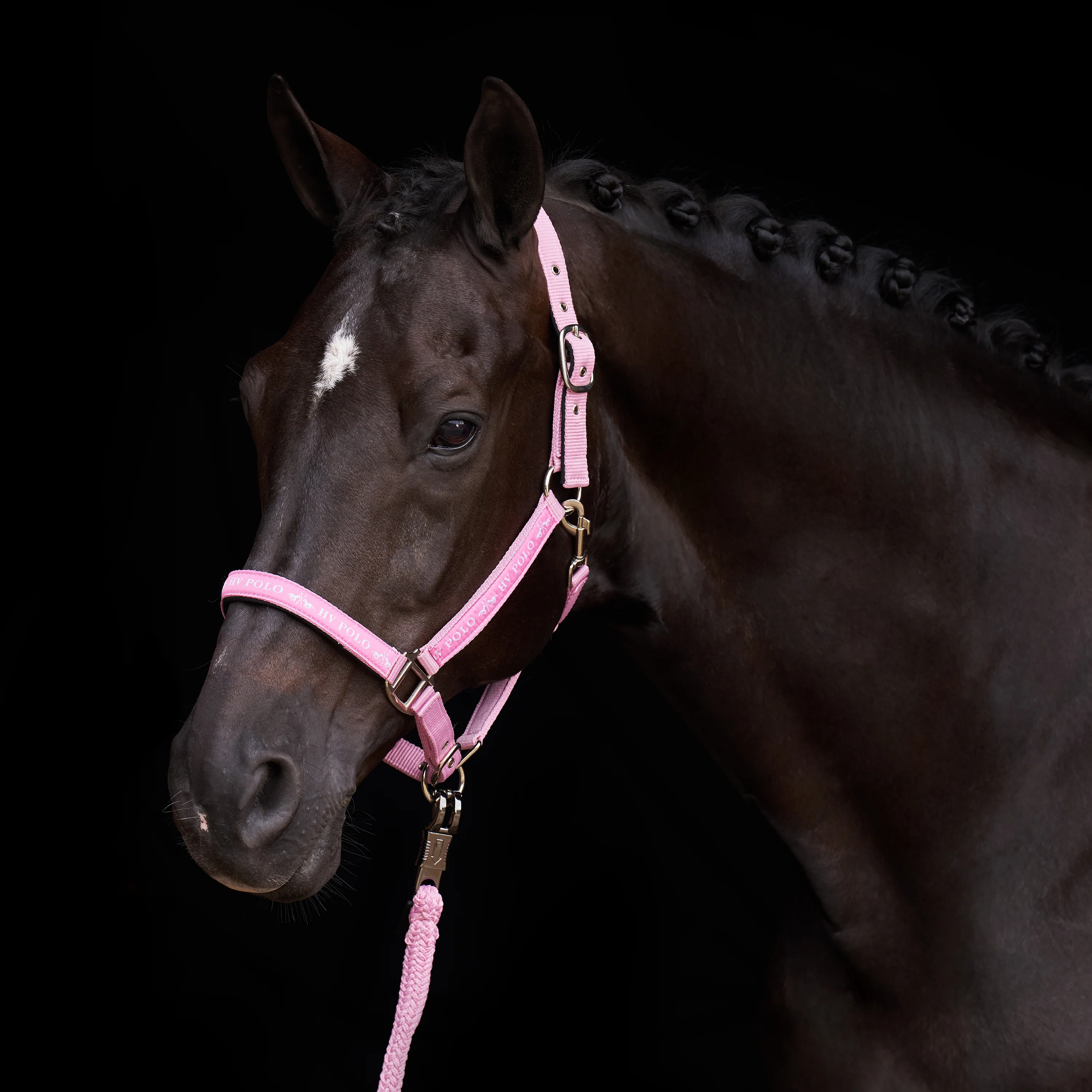 HV Polo Headcollar HVPNena Pretty Pink - Image 3