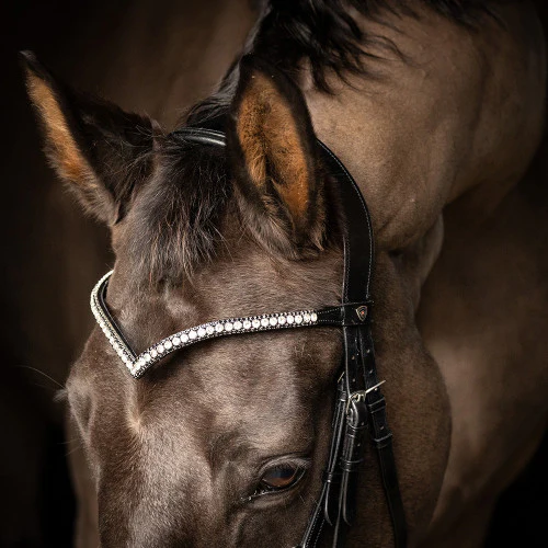 Hy Equestrian ProPresicce Signature V Diamante Browband - Image 2