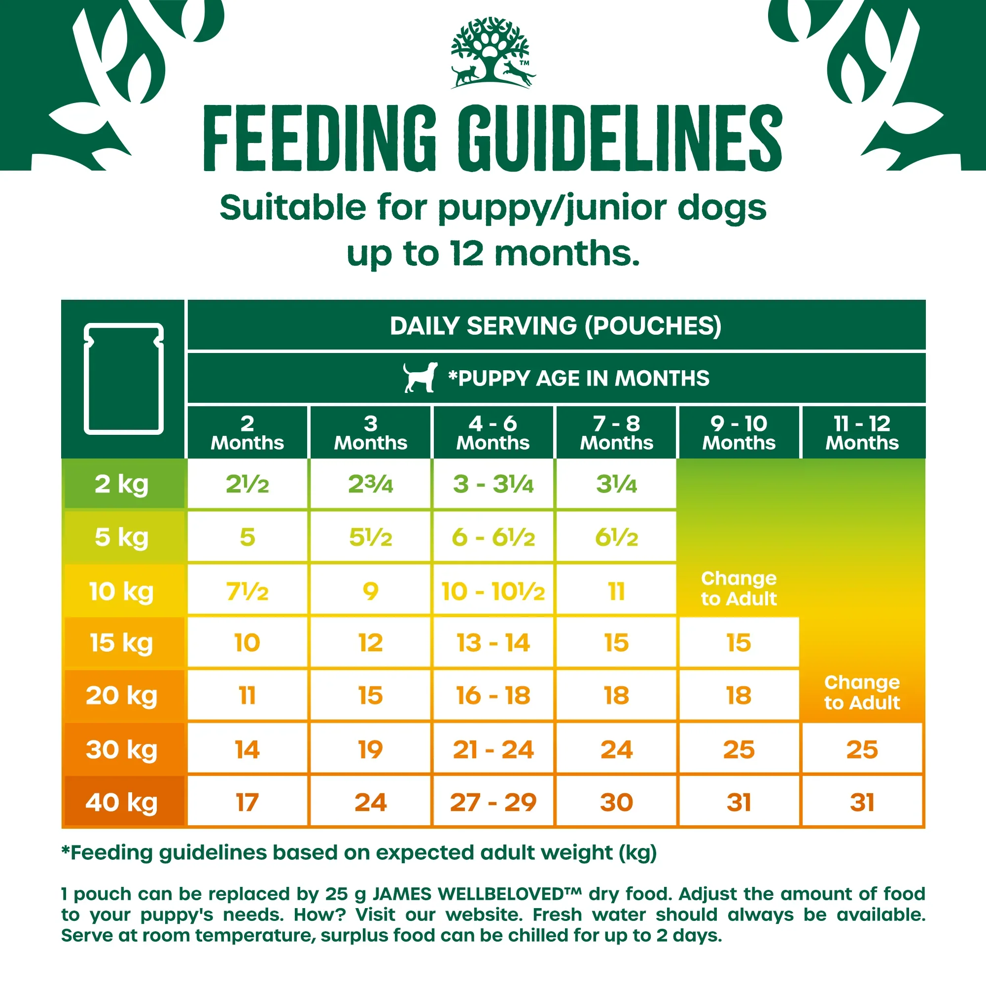James Wellbeloved Puppy Junior - Grain Free Pouch Turkey 12x90g - Image 3
