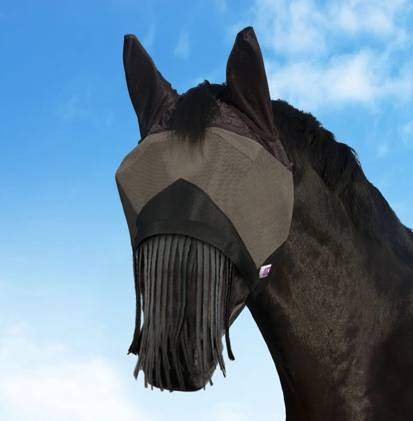 KM Elite Combat Fly Mask Black - Detachable Nose - Image 2