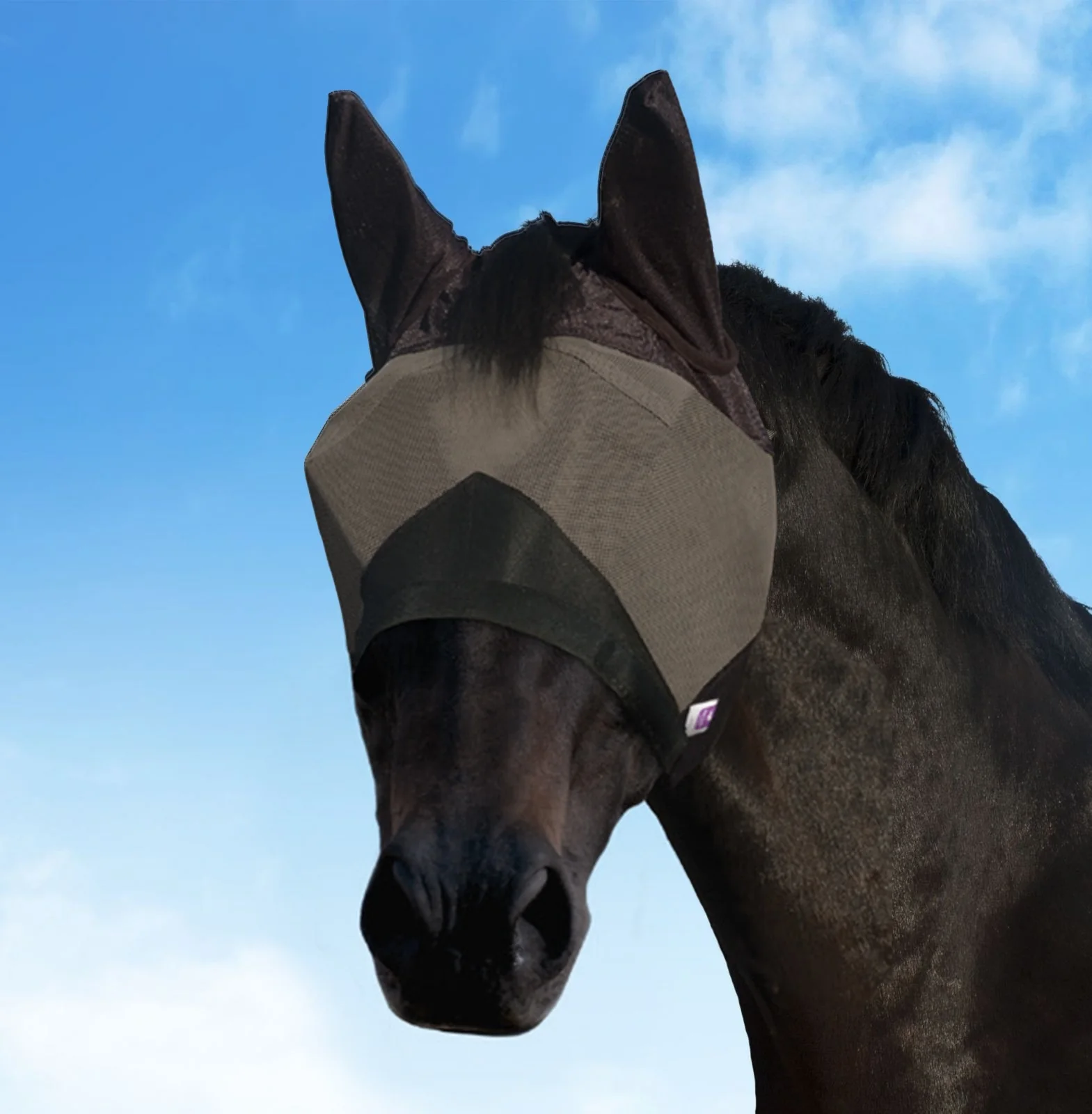 KM Elite Combat Fly Mask Black - Detachable Nose - Image 3