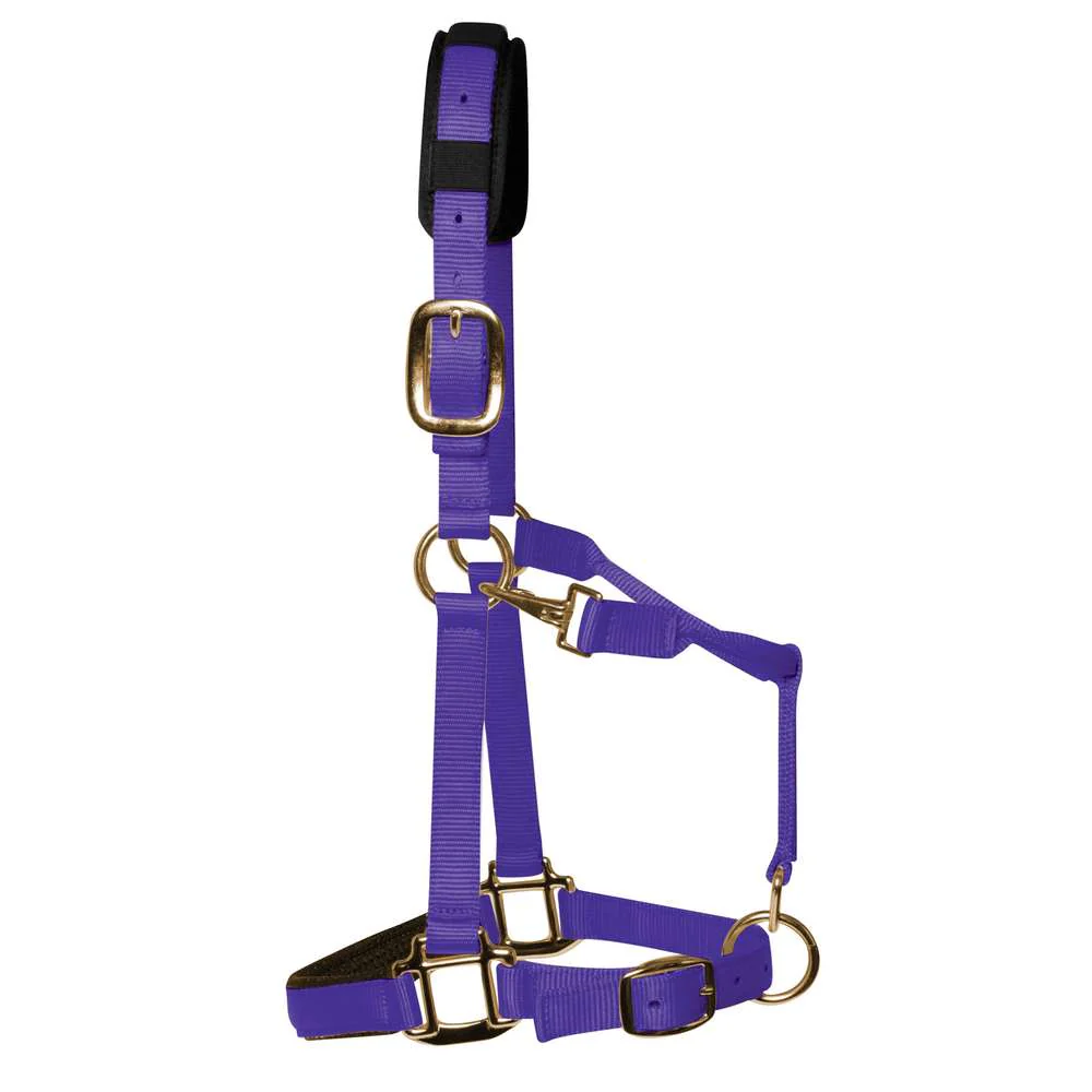 KM Elite Luxury Padded Headcollar - Image 2