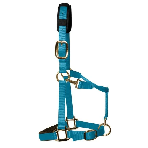 KM Elite Luxury Padded Headcollar - Image 3