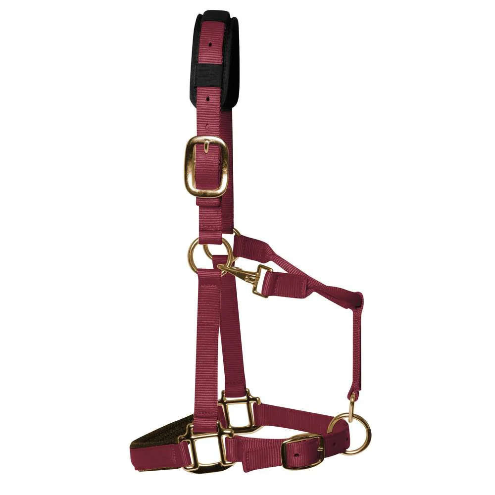 KM Elite Luxury Padded Headcollar - Image 5