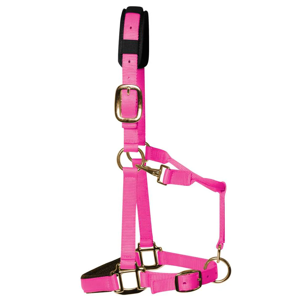KM Elite Luxury Padded Headcollar - Image 6
