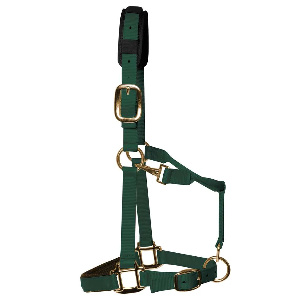 KM Elite Luxury Padded Headcollar - Image 7