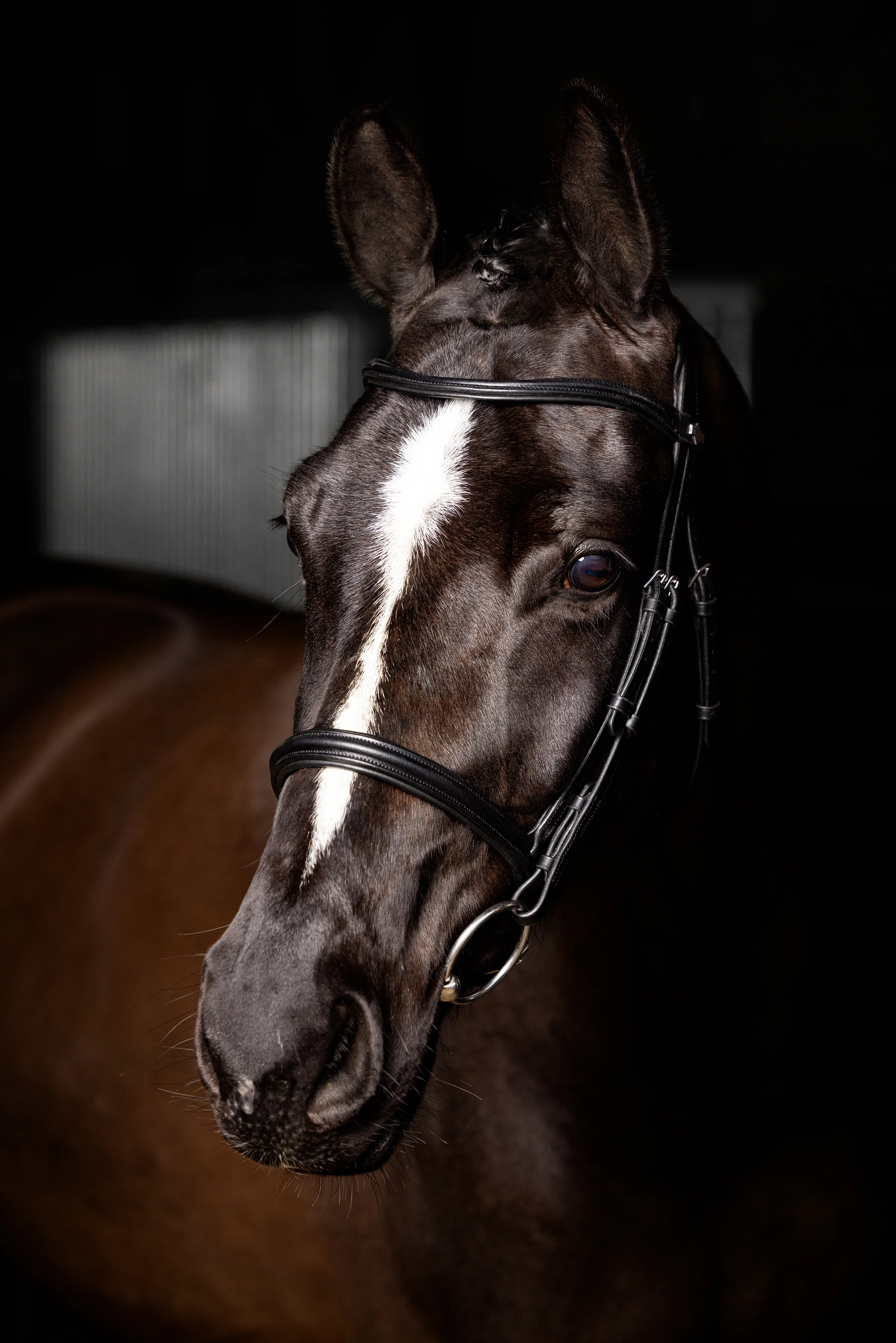 Le Mieux Arika Cavesson Bridle - Image 2