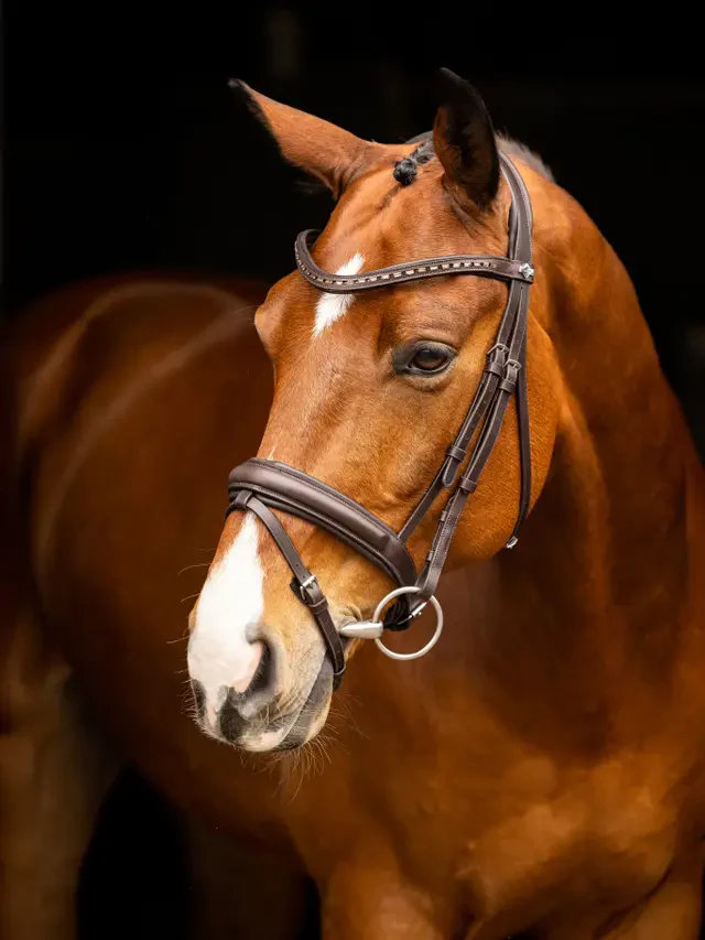 Le Mieux Arika Dressage Bridle - Image 4